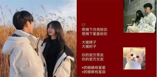 娱乐吃瓜酱情侣网名,甜蜜互动，网恋新风尚